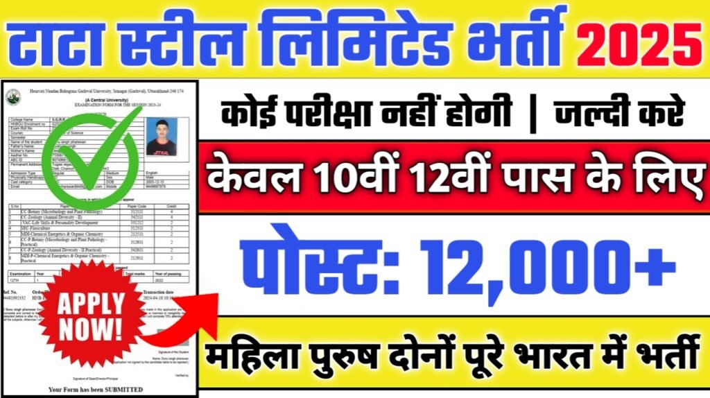 Tata Steel Limited Recruitment 2025- टाटा स्टील लिमिटेड भर्ती 2025, Authoritative Notice Out